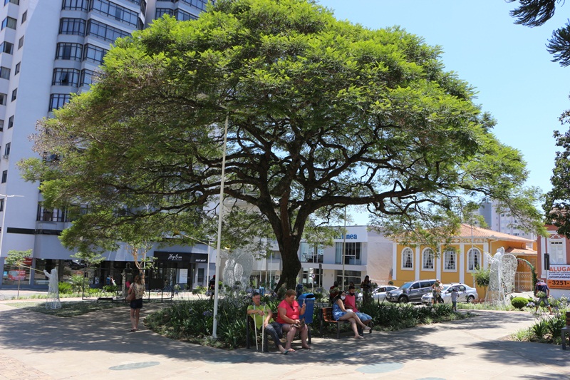Prefeitura de Lages Meio Ambiente Preservado: à sombra das árvores e junto ao colorido das flores