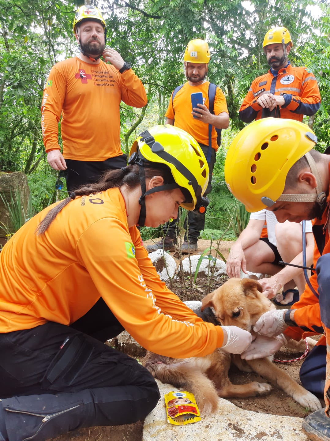 Prefeitura de Lages Servidora da Prefeitura de Lages, especializada em resgate de animais, atua nas cidades afetadas pelas enchentes no Estado