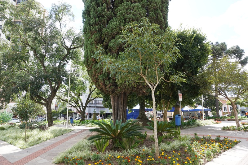 Prefeitura de Lages Arborização da Praça da Catedral se destaca na paisagem urbana de Lages