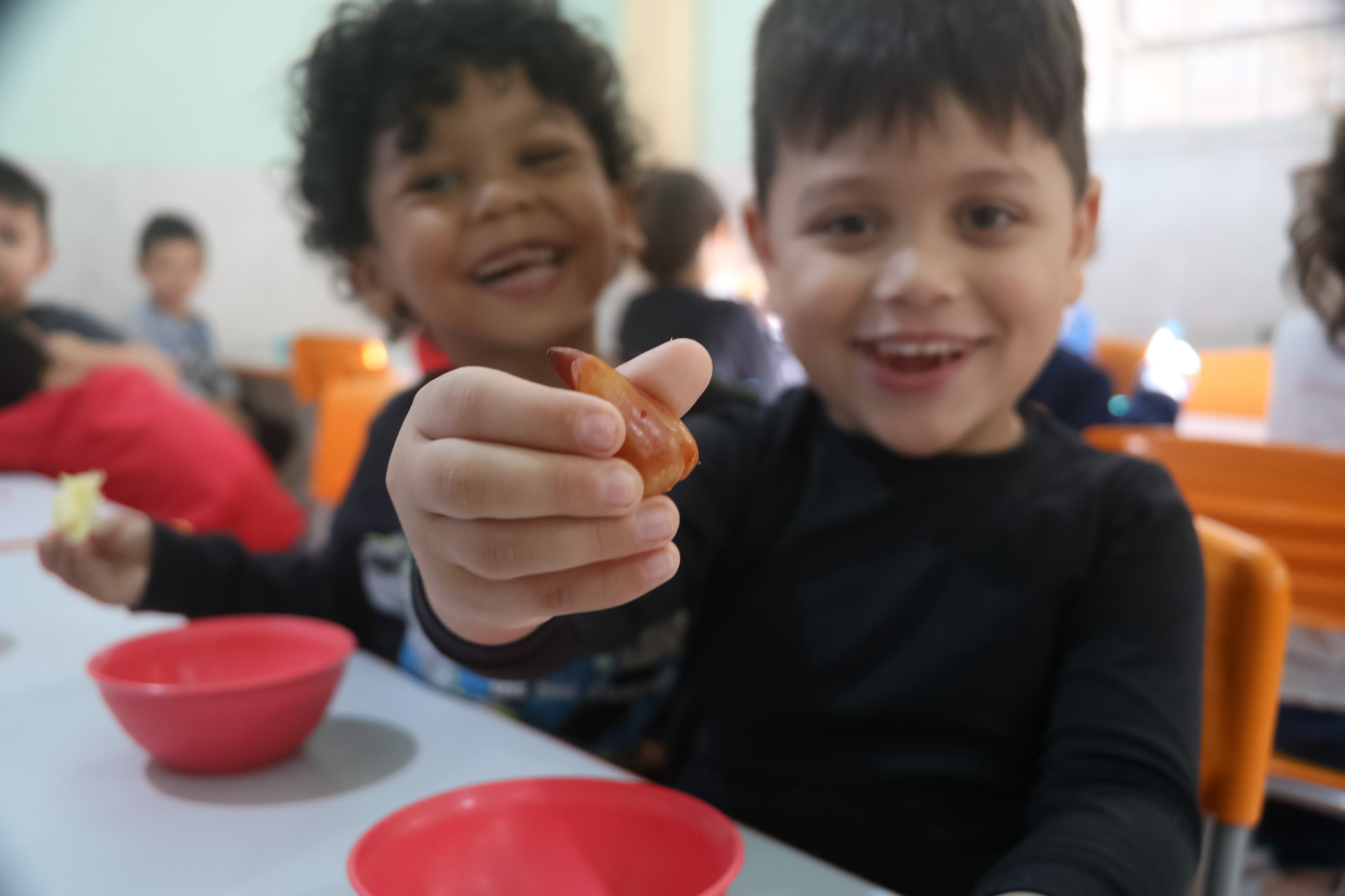 Prefeitura de Lages Secretaria da Educação distribuirá dois mil quilos de pinhão às unidades de ensino do Sistema Municipal de Educação