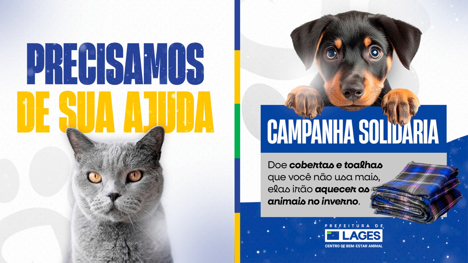 Prefeitura de Lages Centro de Bem-Estar Animal promove campanha para arrecadação de cobertas e cobertores