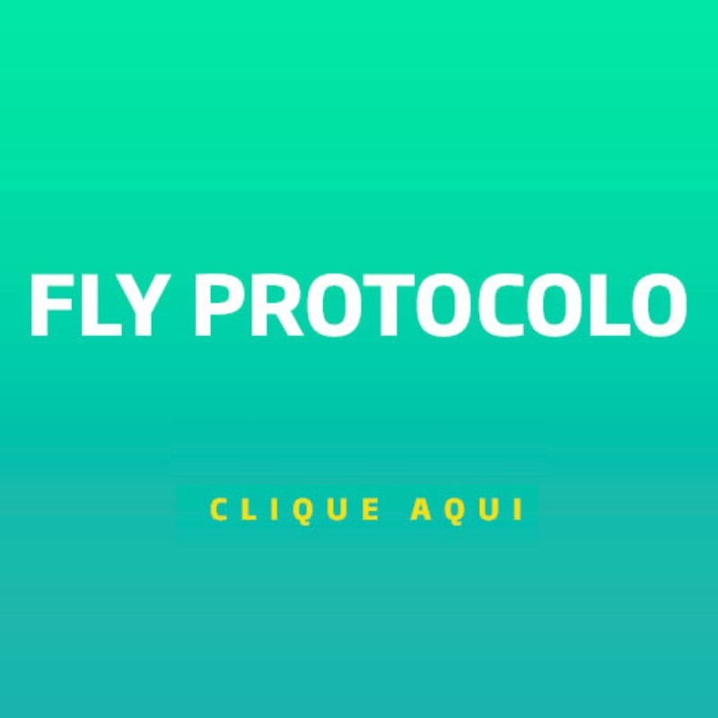 Fly Protocolo Prefeitura de Lages