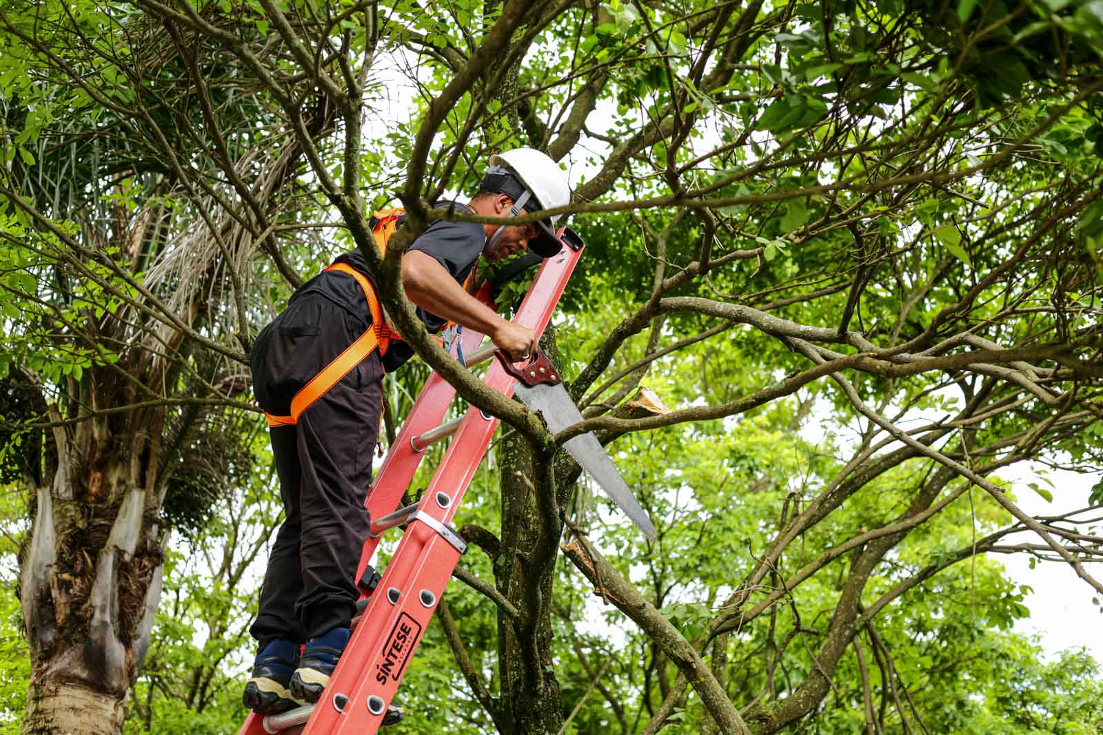 Prefeitura de Lages Equipes realizam limpeza e recuperação de áreas atingidas pela tempestade deste domingo em Lages 