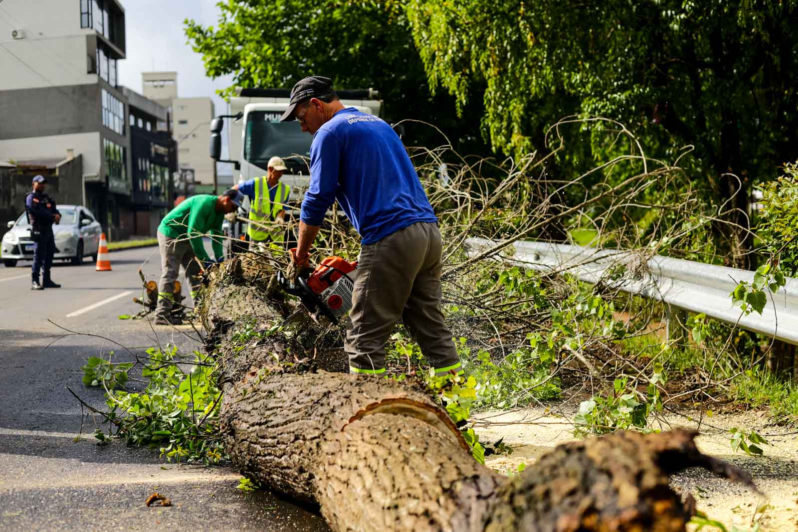 Prefeitura de Lages Limpeza urbana e retirada de árvores seguem após tempestade convectiva em Lages
