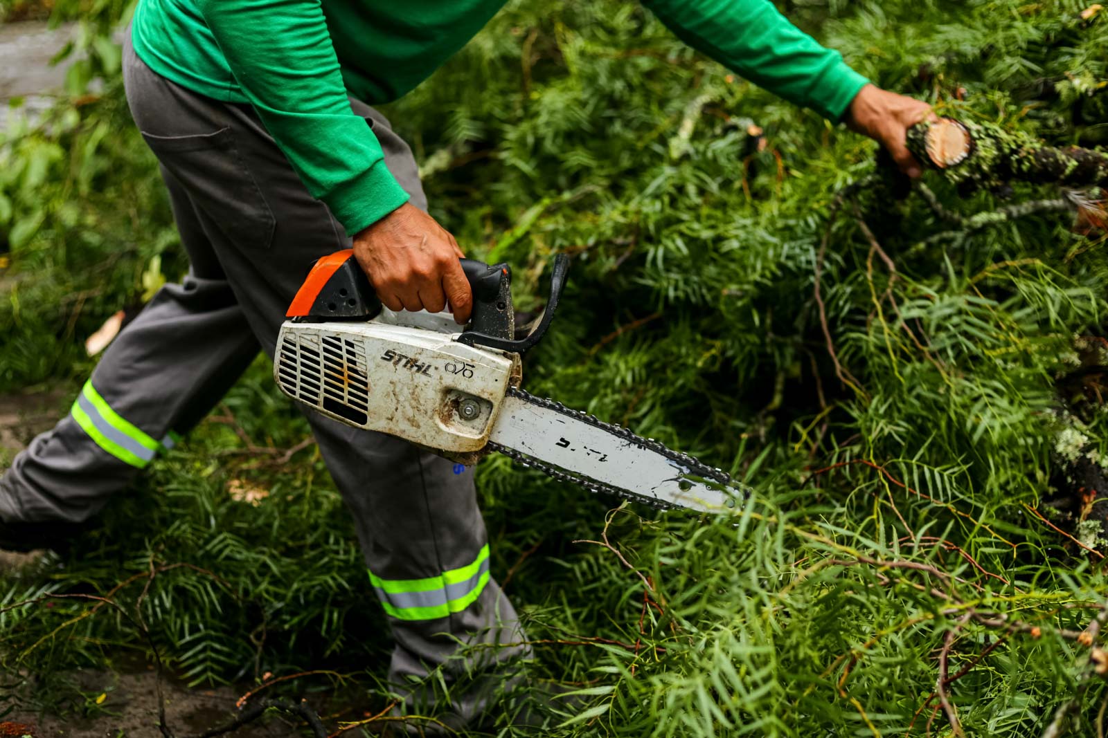 Prefeitura de Lages Serviços de roçadas, limpezas e podas avançam em diversos bairros de Lages