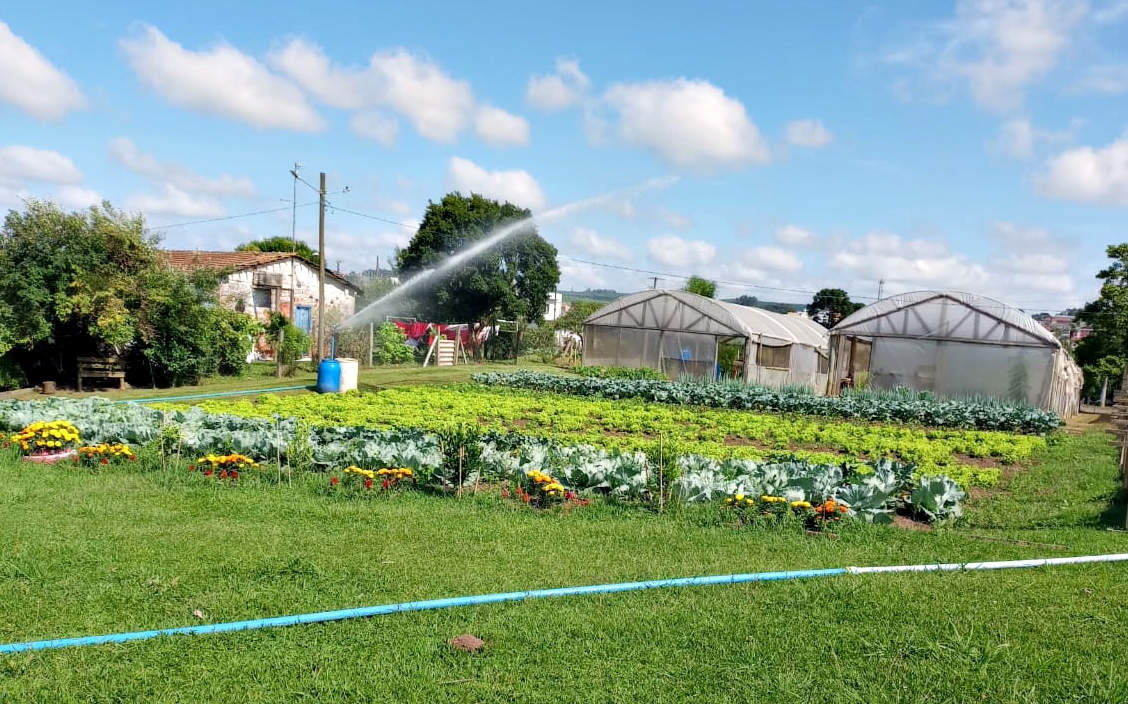 Prefeitura de Lages Horto Municipal distribui mudas de cebola de cabeça à população