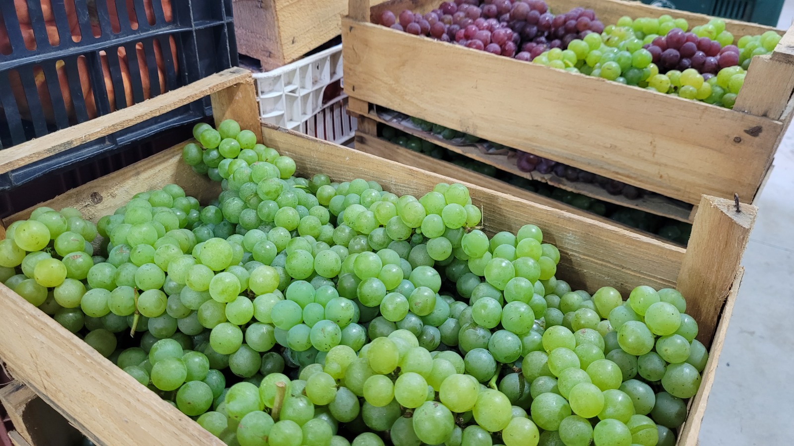 Prefeitura de Lages Banco de Alimentos de Lages distribui 187,9 toneladas e reforça segurança alimentar de milhares de famílias em 2025