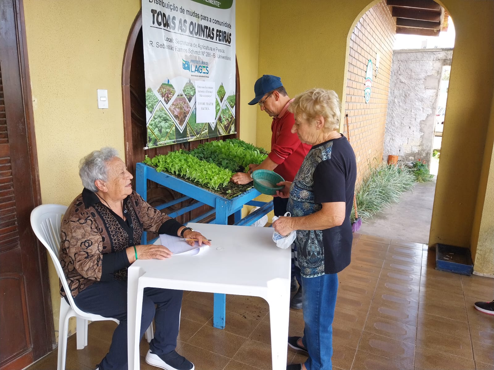 Prefeitura de Lages Duas mil mudas de hortaliças serão distribuídas neste dia 11 de dezembro