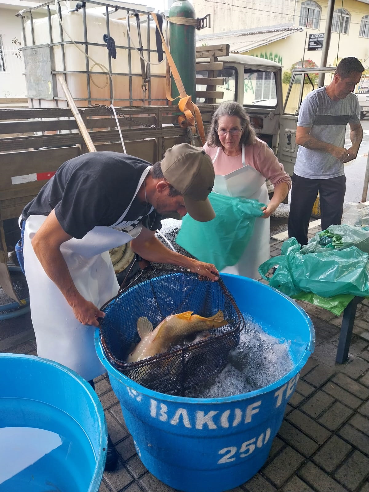 Prefeitura de Lages Tradicional Feira do Peixe Vivo começa a ser preparada em Lages