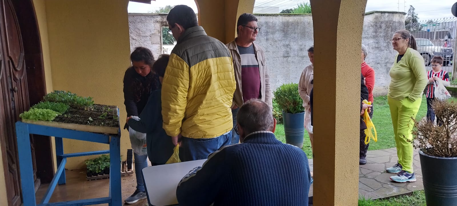 Prefeitura de Lages Horto Municipal prossegue com a distribuição gratuita de mudas de cebola de cabeça