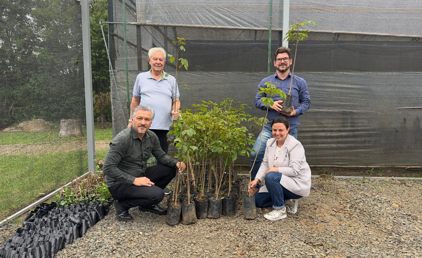 Prefeitura de Lages Tribunal de Contas de Santa Catarina doa 70 mudas de ipês-amarelos à Prefeitura de Lages