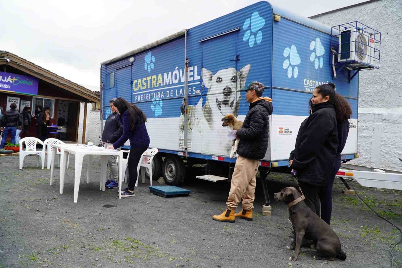 Prefeitura de Lages Cobea disponibiliza 70 vagas para castração de cães e gatos machos nesta quarta-feira no bairro Guarujá