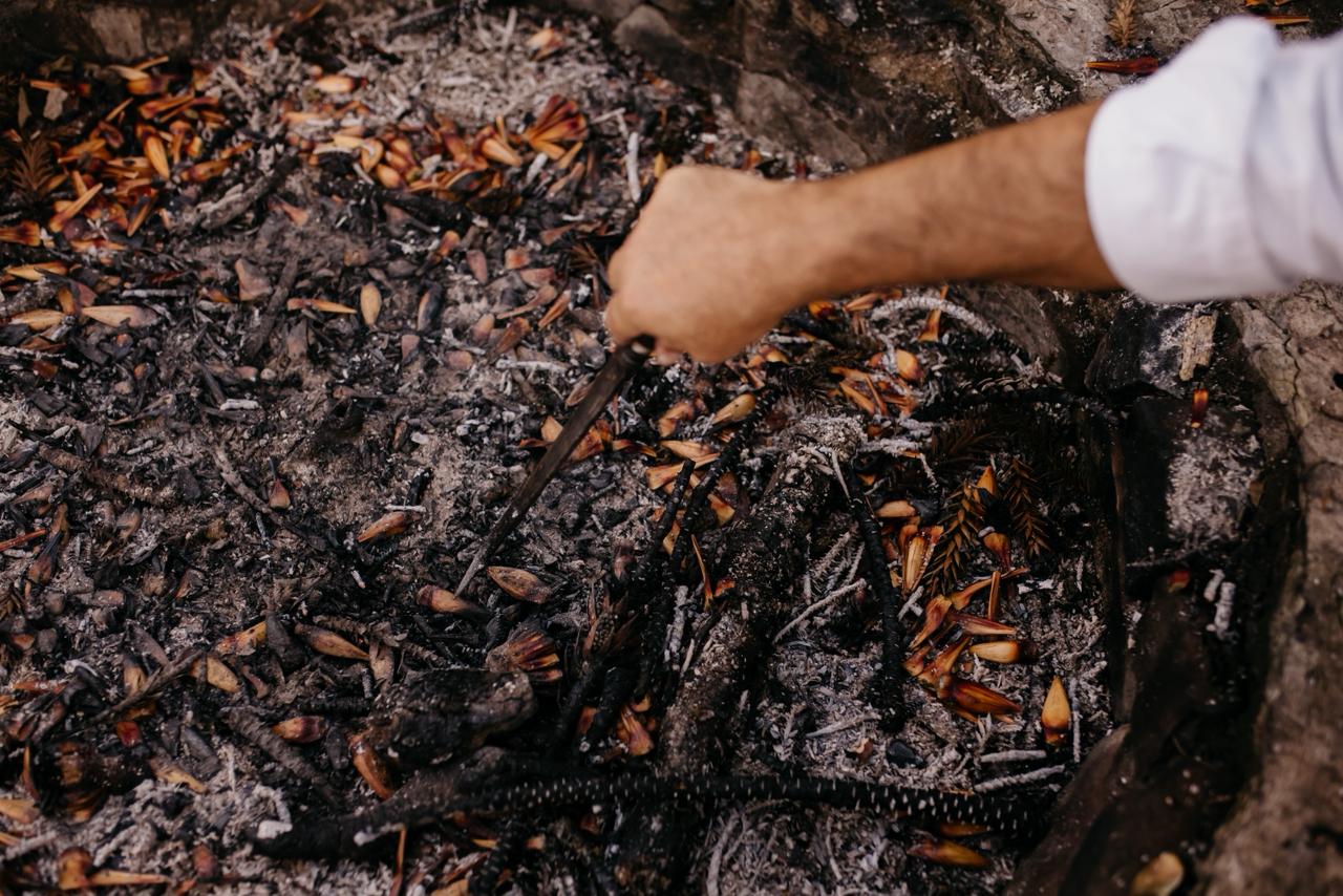 Prefeitura de Lages Sapecada do pinhão: O ritual que atravessa gerações 
