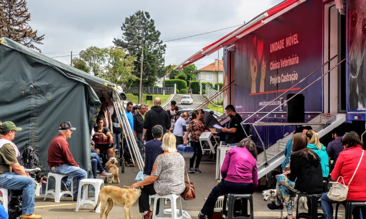 Prefeitura de Lages Mutirão de Castração de animais já chega a 1.600 cirurgias no decorrer de 2019