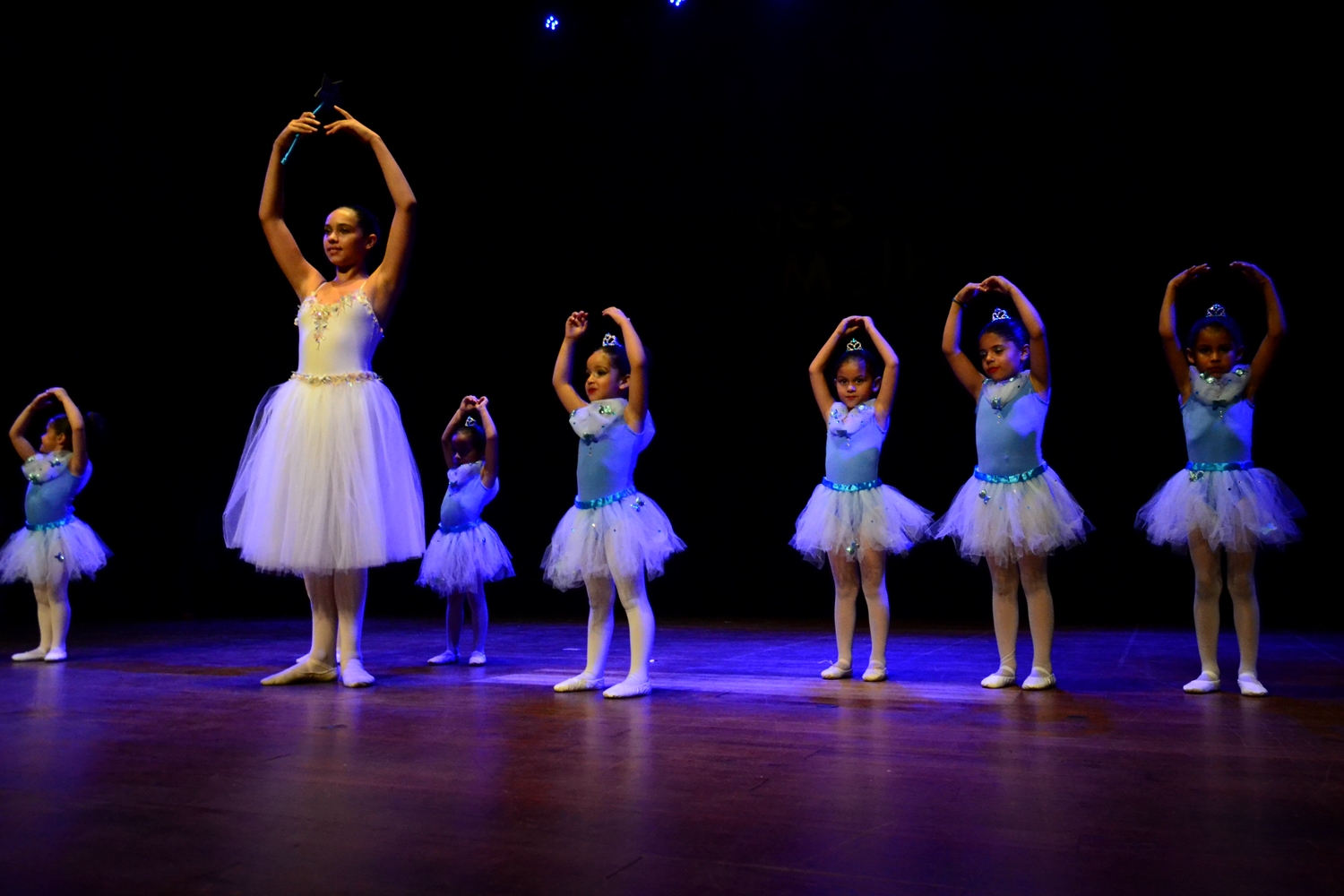 Prefeitura de Lages Matrículas para Escola de Artes da Prefeitura com datas definidas