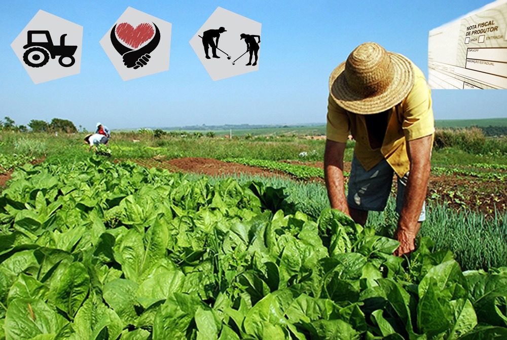 Prefeitura de Lages Bloco de produtor rural deverá ser revalidado no período de 2 a 31 de janeiro de 2020 