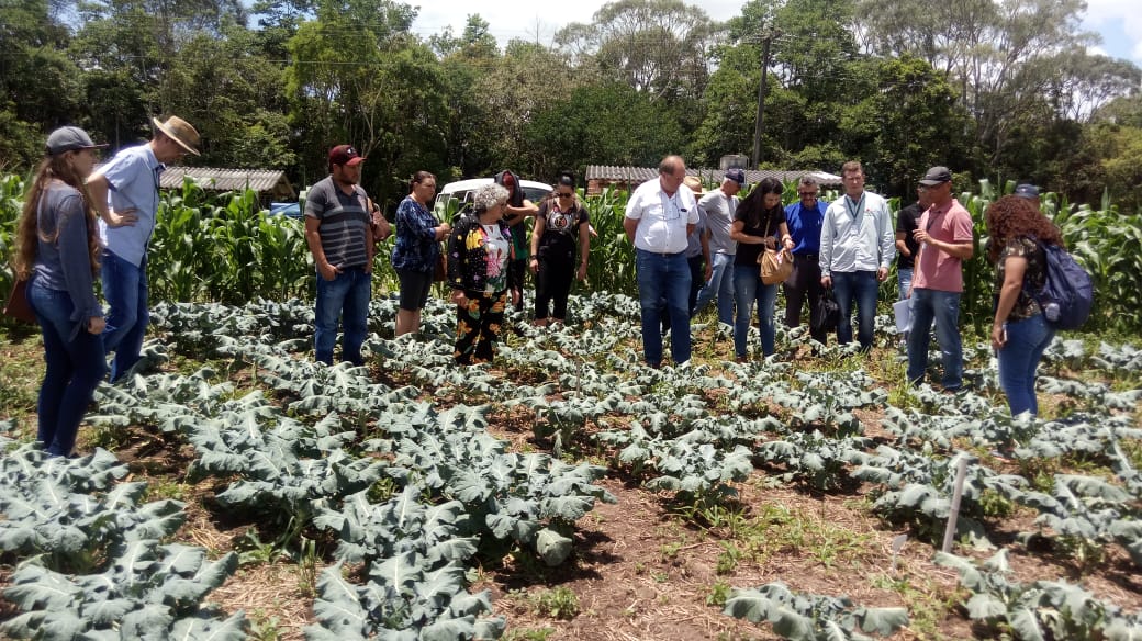 Prefeitura de Lages Produtores rurais de Lages realizam visita técnica em Ituporanga