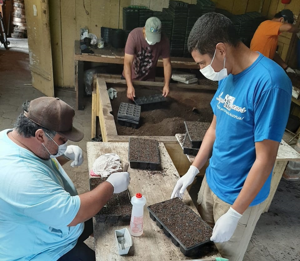 Prefeitura de Lages Flores da estação deixarão Lages ainda mais bela nos próximos meses 