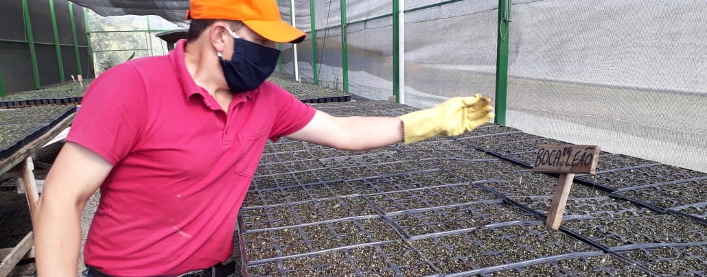 Prefeitura de Lages Cidade ainda mais bela: Prefeitura de Lages produzirá 50 mil mudas de flores de inverno