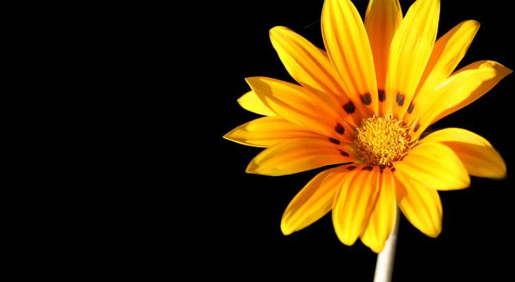 Prefeitura de Lages Live sobre prevenção do suicídio abordará os cuidados intensificados à vida nesta fase de pandemia 