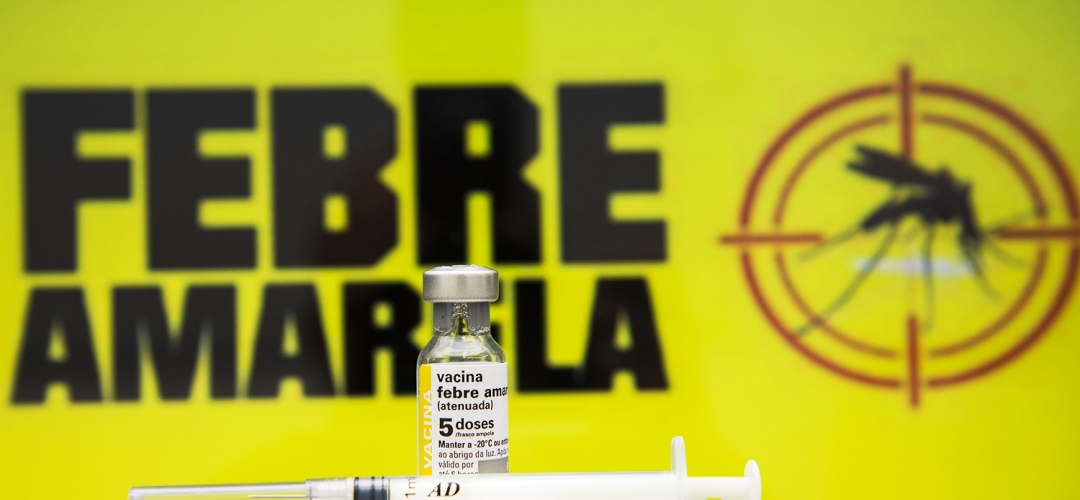 Prefeitura de Lages A importância da vacinação contra a Febre Amarela