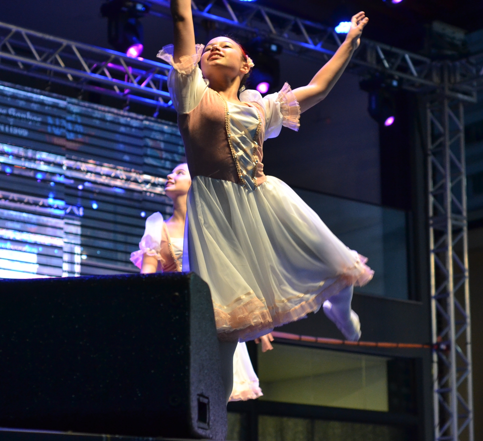 Prefeitura de Lages Lei Aldir Blanc com edital para Lages já disponível