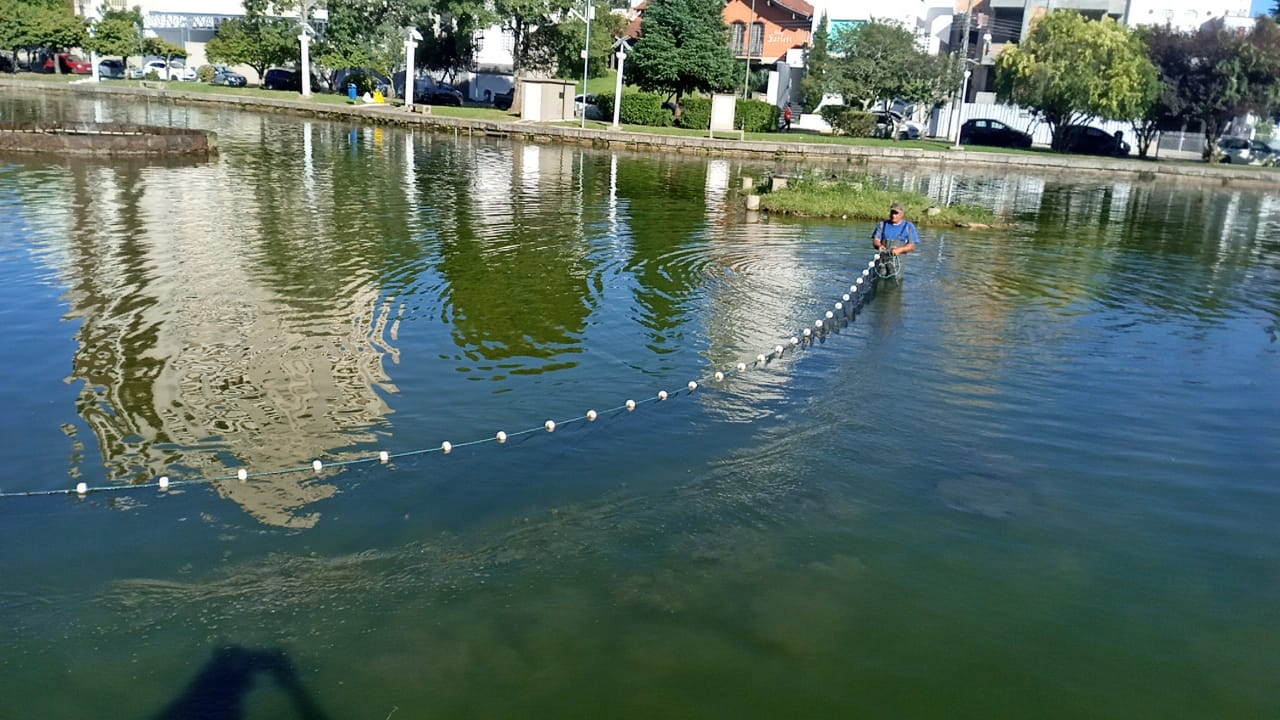 Prefeitura de Lages Retirada estratégica de peixes no lago do Parque Jonas Ramos