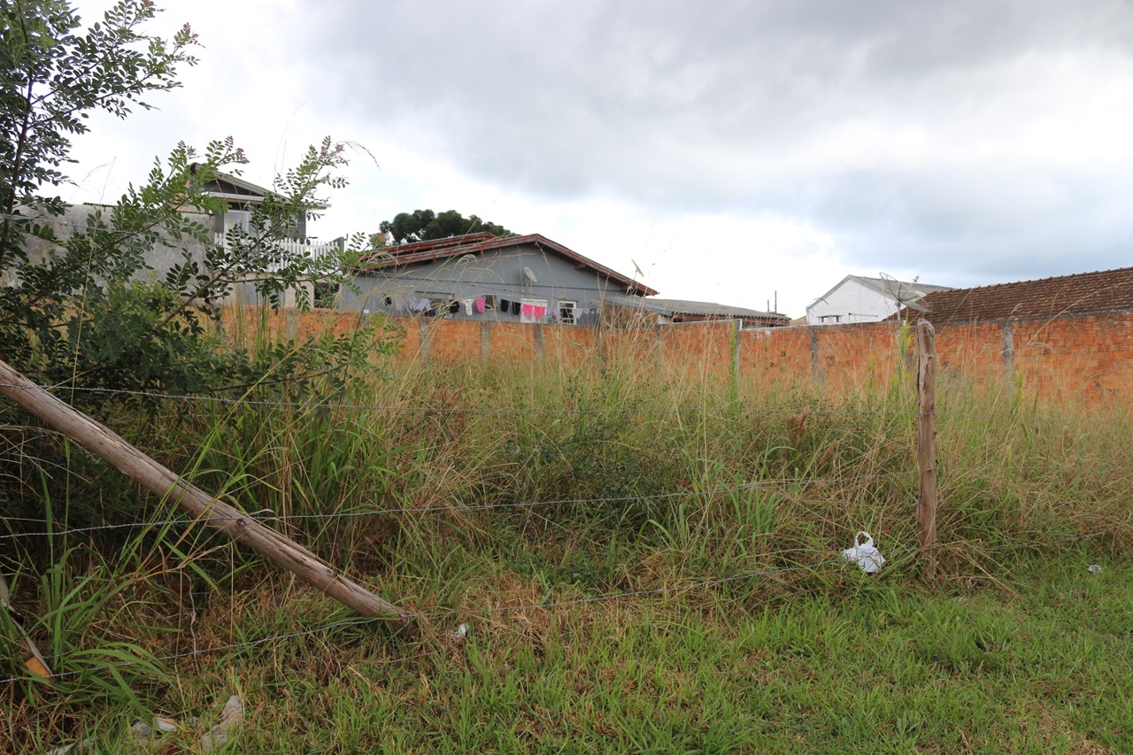 Prefeitura de Lages Fiscalização de terrenos baldios é intensificada em Lages