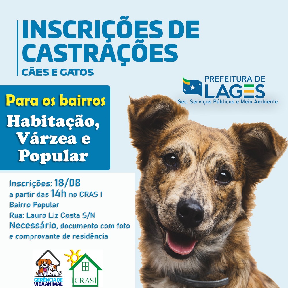 Prefeitura de Lages Prefeitura realizará mutirão de castrações de cães e gatos para os bairros Habitação, Várzea e Popular