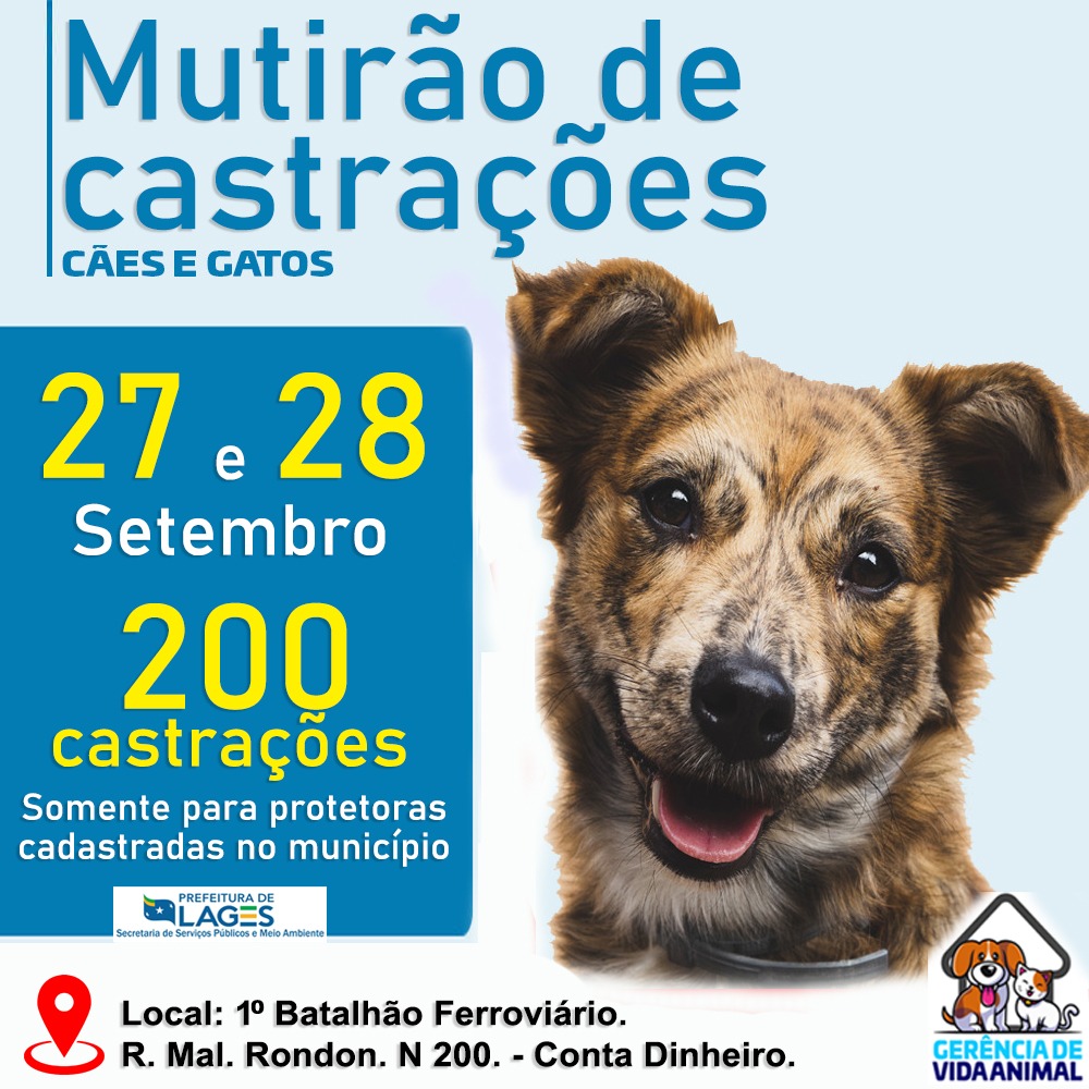 Prefeitura de Lages Prefeitura realizará mutirão de castração com vagas para 200 animais em setembro