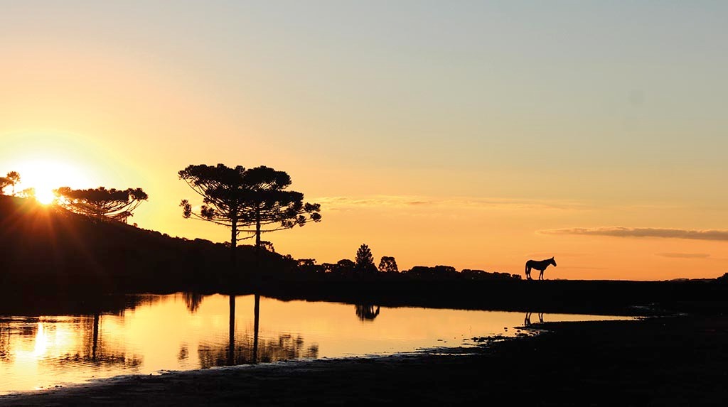 Prefeitura de Lages Coxilha Rica é destaque na Revista Unquiet