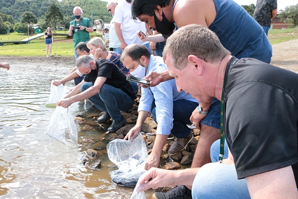 Prefeitura de Lages Quarta edição de soltura de peixes no rio Caveiras impulsiona a pesca esportiva com 14 mil jundiás a mais 