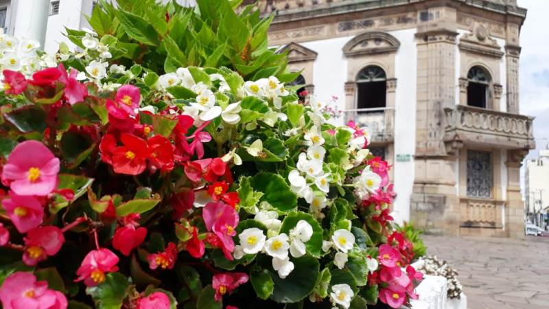 Prefeitura de Lages Blog da Prefa: Lages mais florida, esperando a Festa do Pinhão