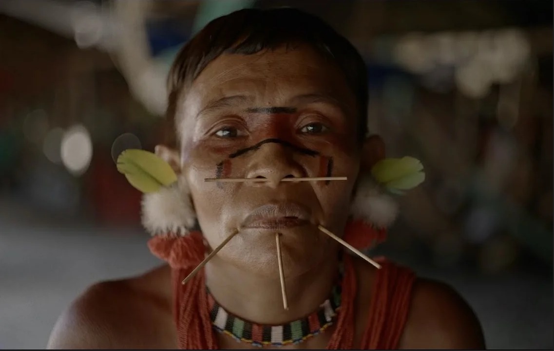 Prefeitura de Lages 5º Festival Internacional de Cinema Ambiental da Serra Catarinense inicia nesta segunda (11)