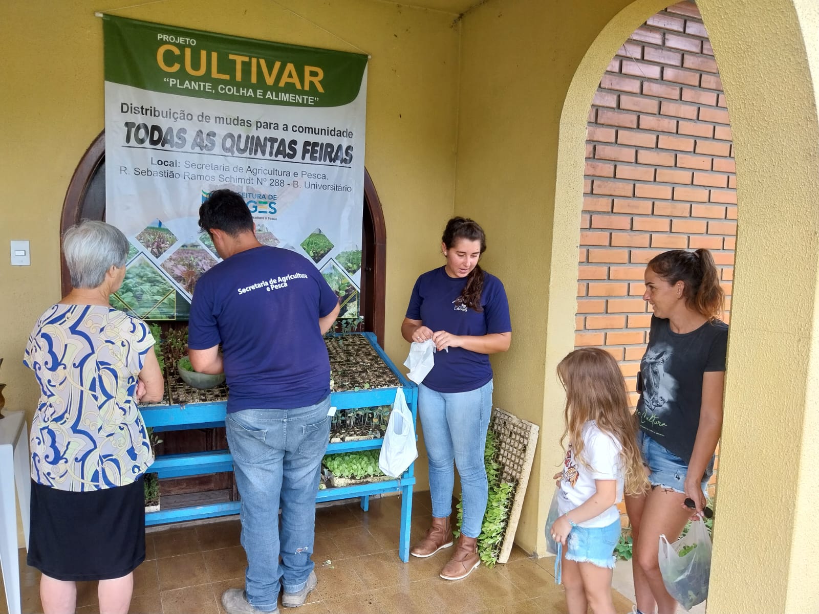 Prefeitura de Lages Mudas de hortaliças do Projeto Cultivar são distribuídas gratuitamente