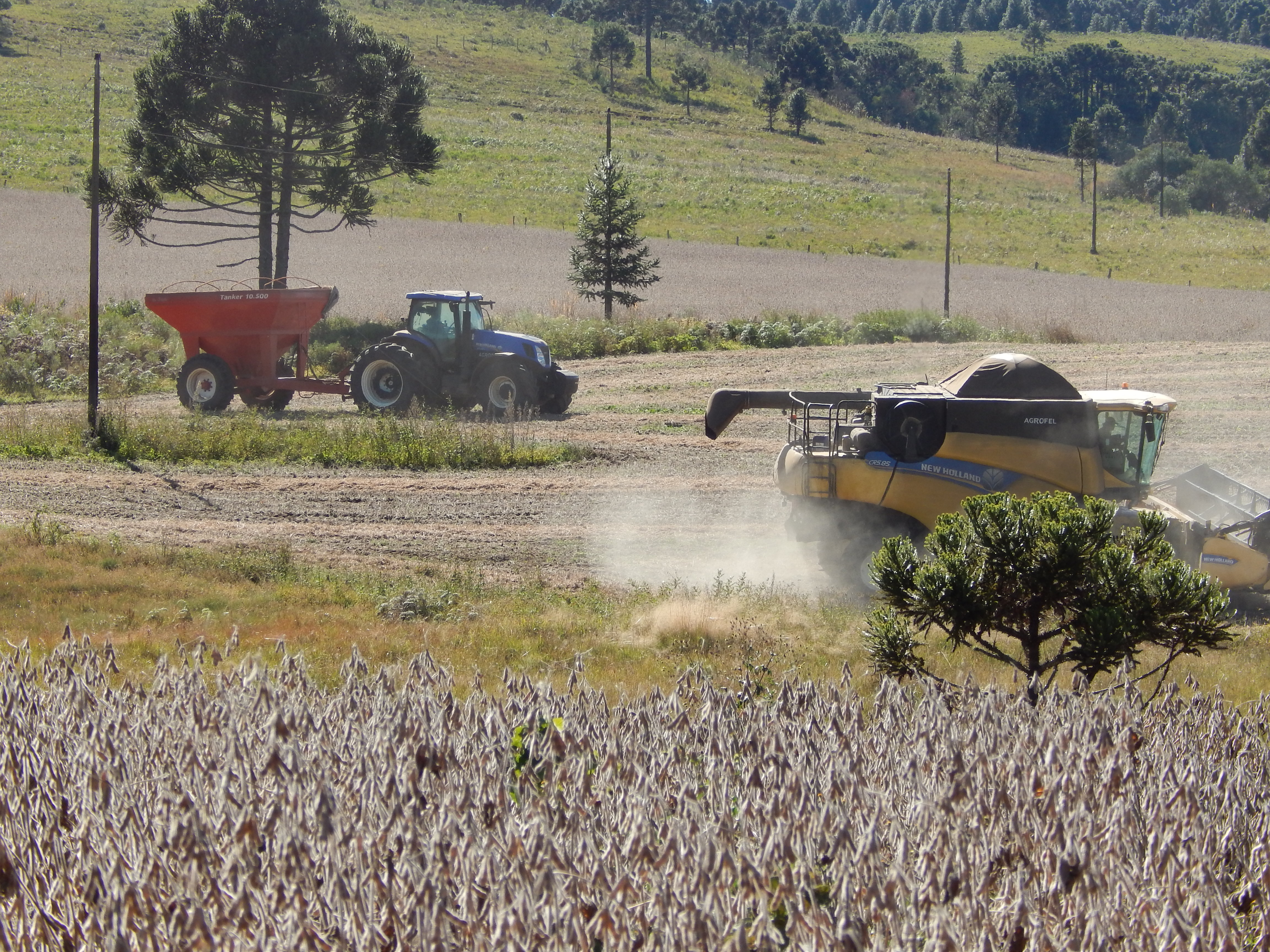 Prefeitura de Lages Secretaria da Agricultura e Pesca atua ao desenvolvimento do agronegócio de Lages 