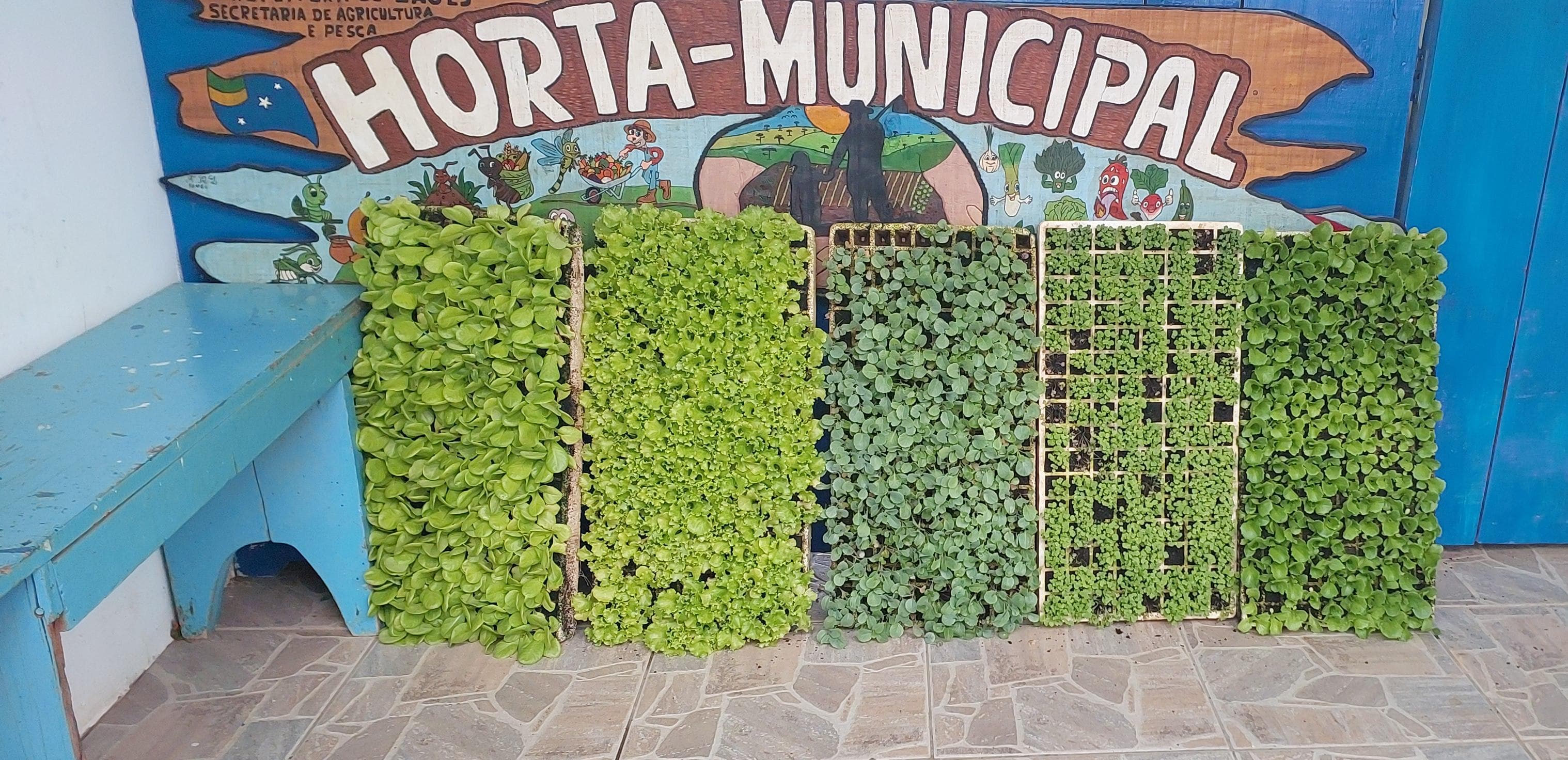 Prefeitura de Lages Participe do Programa Cultivar, nesta quinta-feira