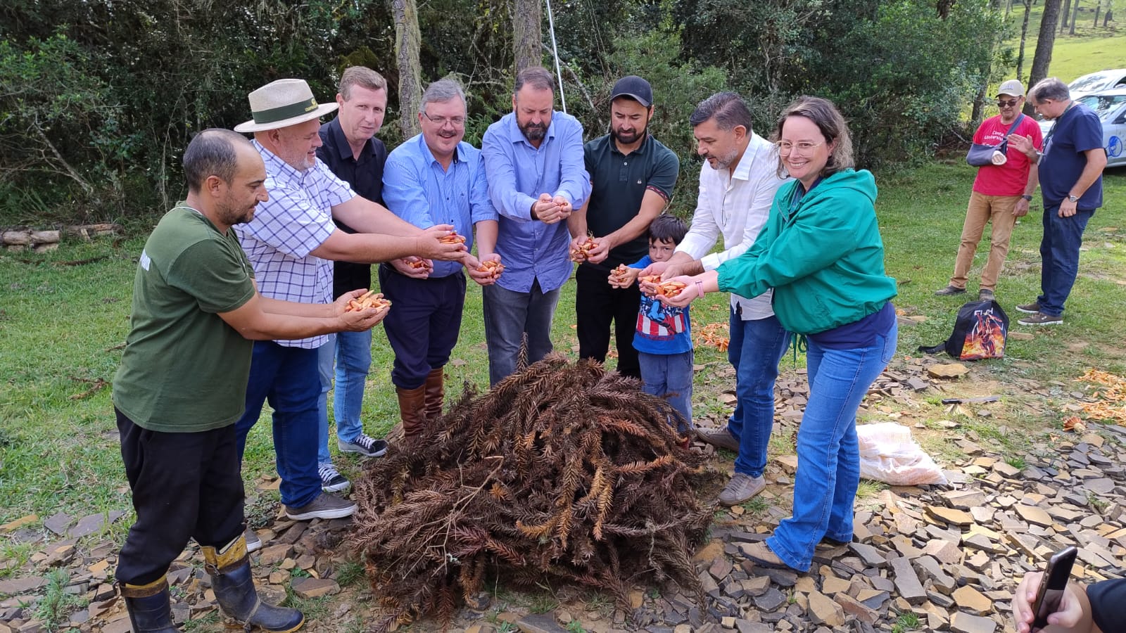 Prefeitura de Lages Prefeitura de Lages participa do início oficial da colheita do pinhão em Painel