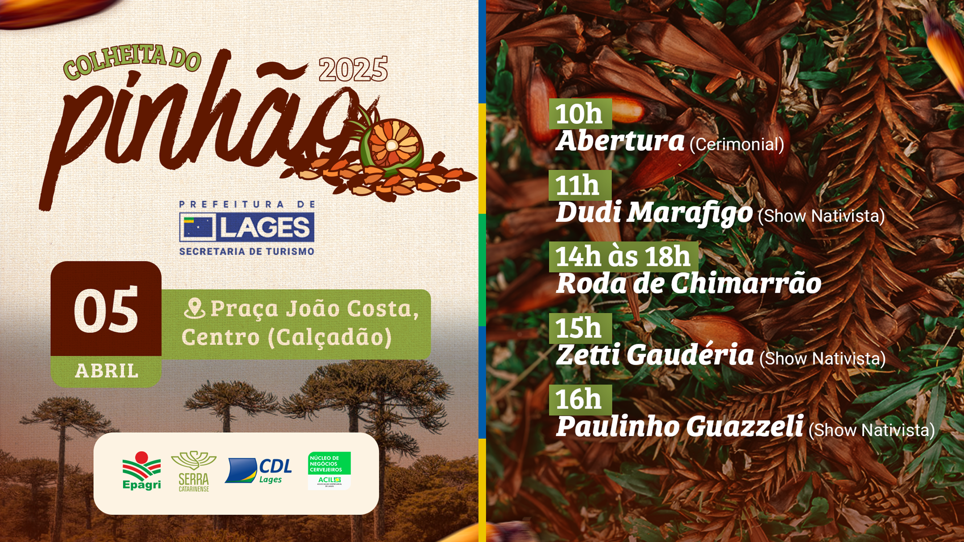 Prefeitura de Lages Colheita do Pinhão 2025 em Lages: A tradição serrana ao sabor do pinhão na grimpa