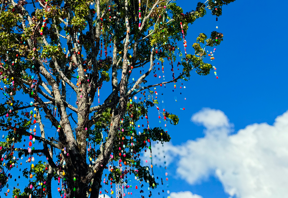 Prefeitura de Lages Paisagem da Doce Páscoa ganha vida no Calçadão de Lages e prepara a cidade para um sábado mágico