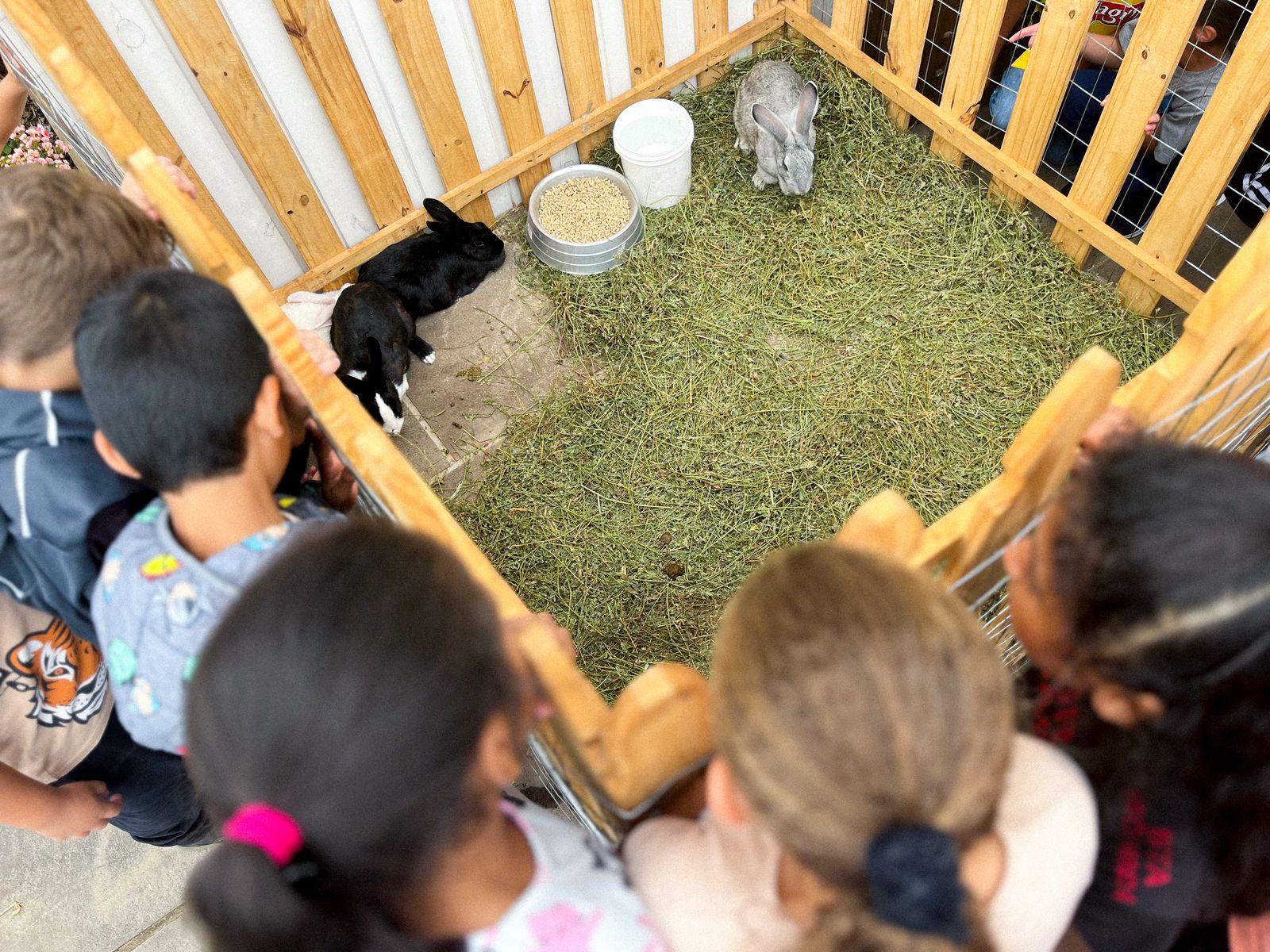 Prefeitura de Lages Coelhinhos fazem a alegria de estudantes da rede municipal na Doce Páscoa