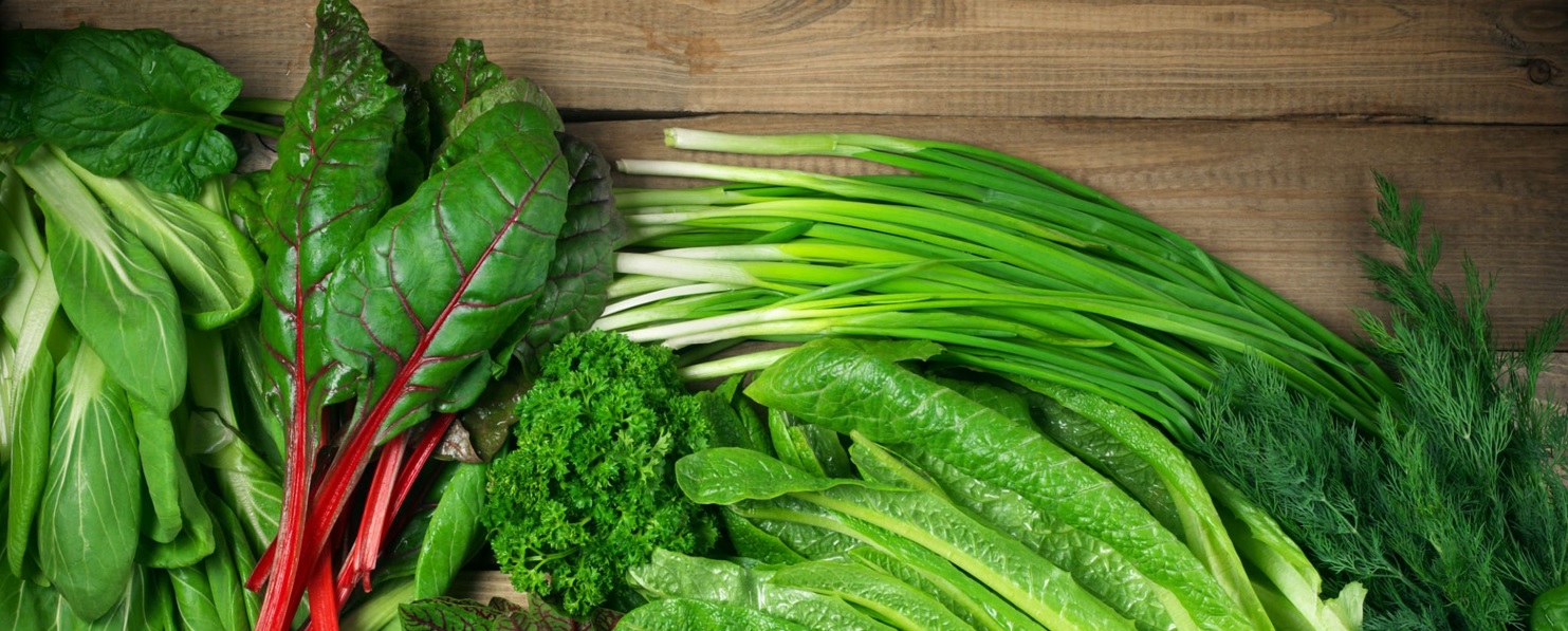 Prefeitura de Lages Visitas ao Horto Municipal são agendadas por telefone e e-mail