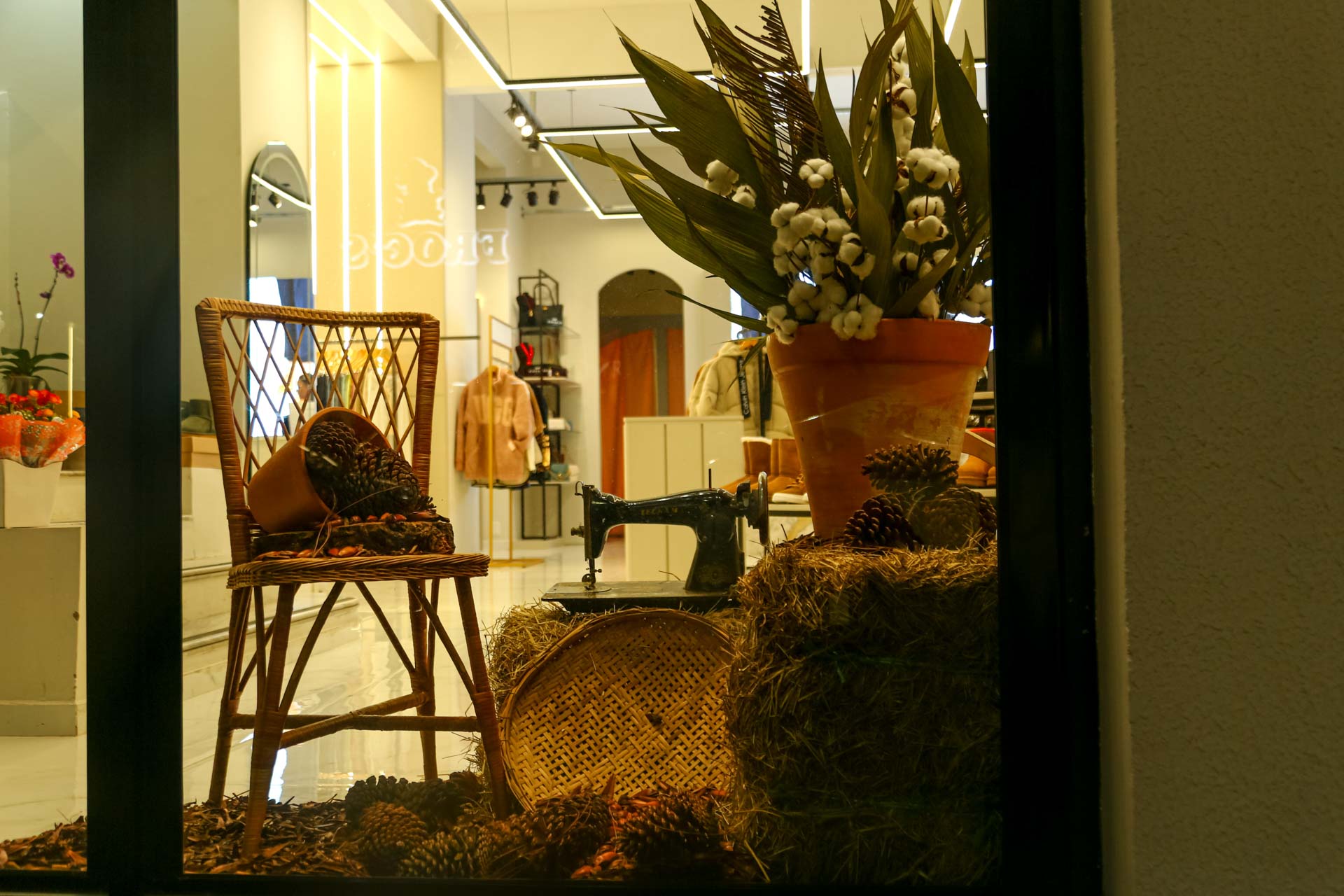 Prefeitura de Lages Comerciantes de Lages entram no clima da 35ª Festa Nacional do Pinhão com fachadas temáticas e arte urbana