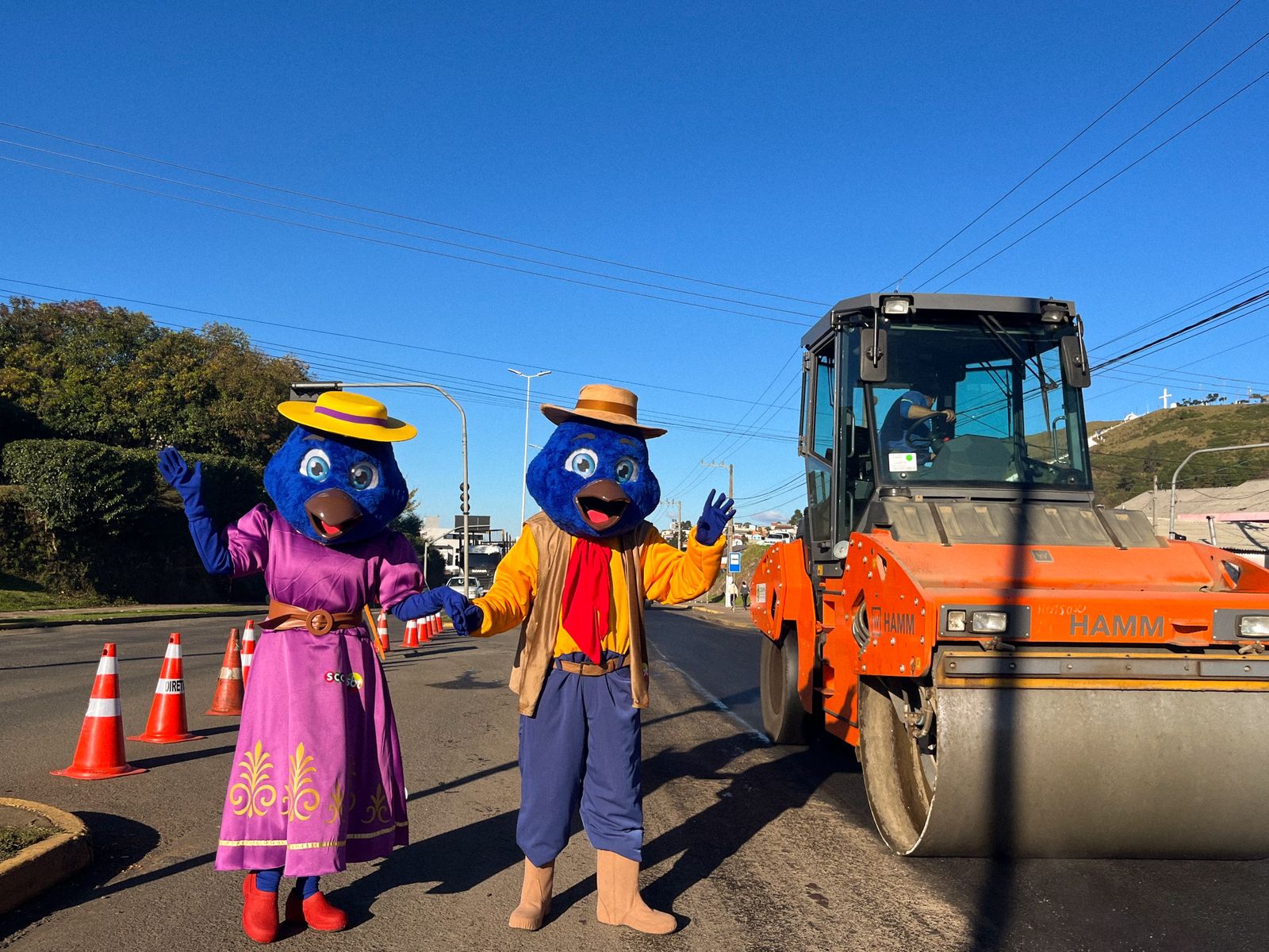 Prefeitura de Lages Projeto em fase final: Gralhas Azuis conferem obras na avenida Dom Pedro II