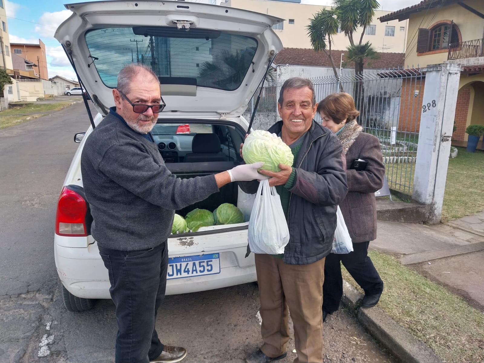 Prefeitura de Lages Exemplares de repolho são doados à comunidade pelo Programa Cultivar