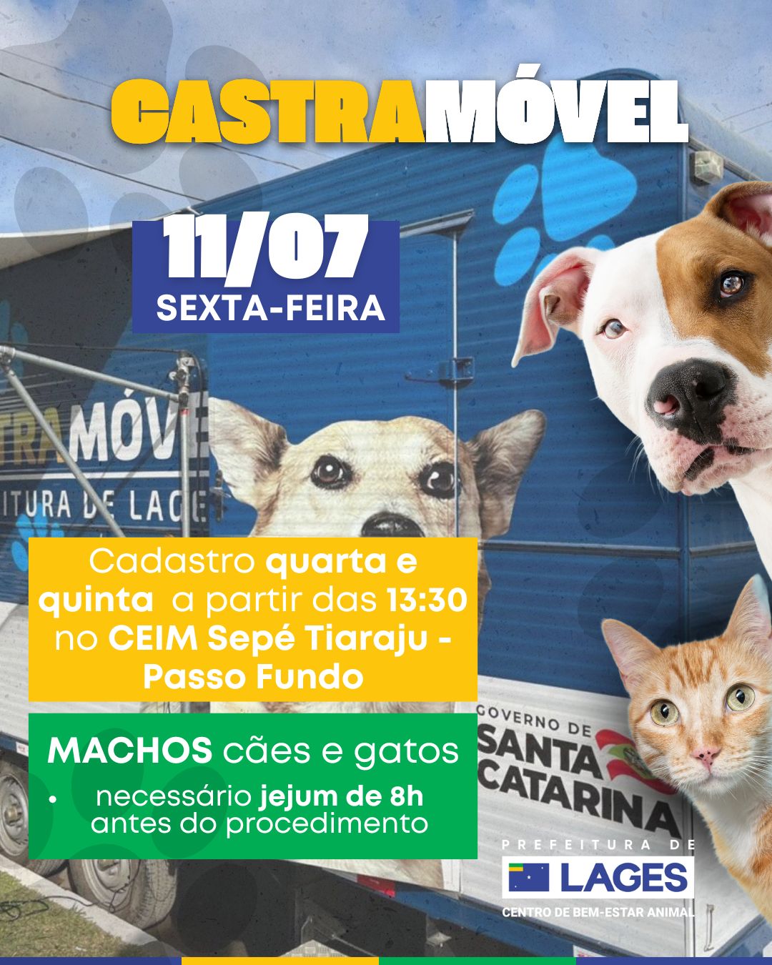 Prefeitura de Lages Castramóvel estará no bairro Passo Fundo nesta sexta-feira com ação de castração gratuita de cães e gatos
