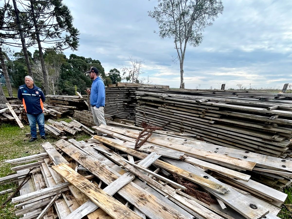 Prefeitura de Lages Madeira apreendida por corte ilegal será utilizada na construção de moradias para atender famílias em situação de vulnerabilidade em Lages