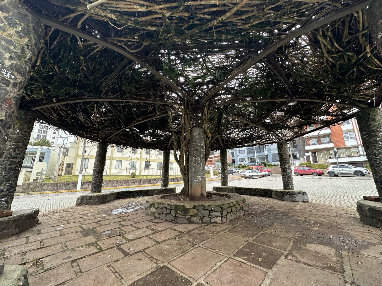 Prefeitura de Lages Prefeitura realiza poda inédita no Parque Jonas Ramos e promove limpeza completa do espaço