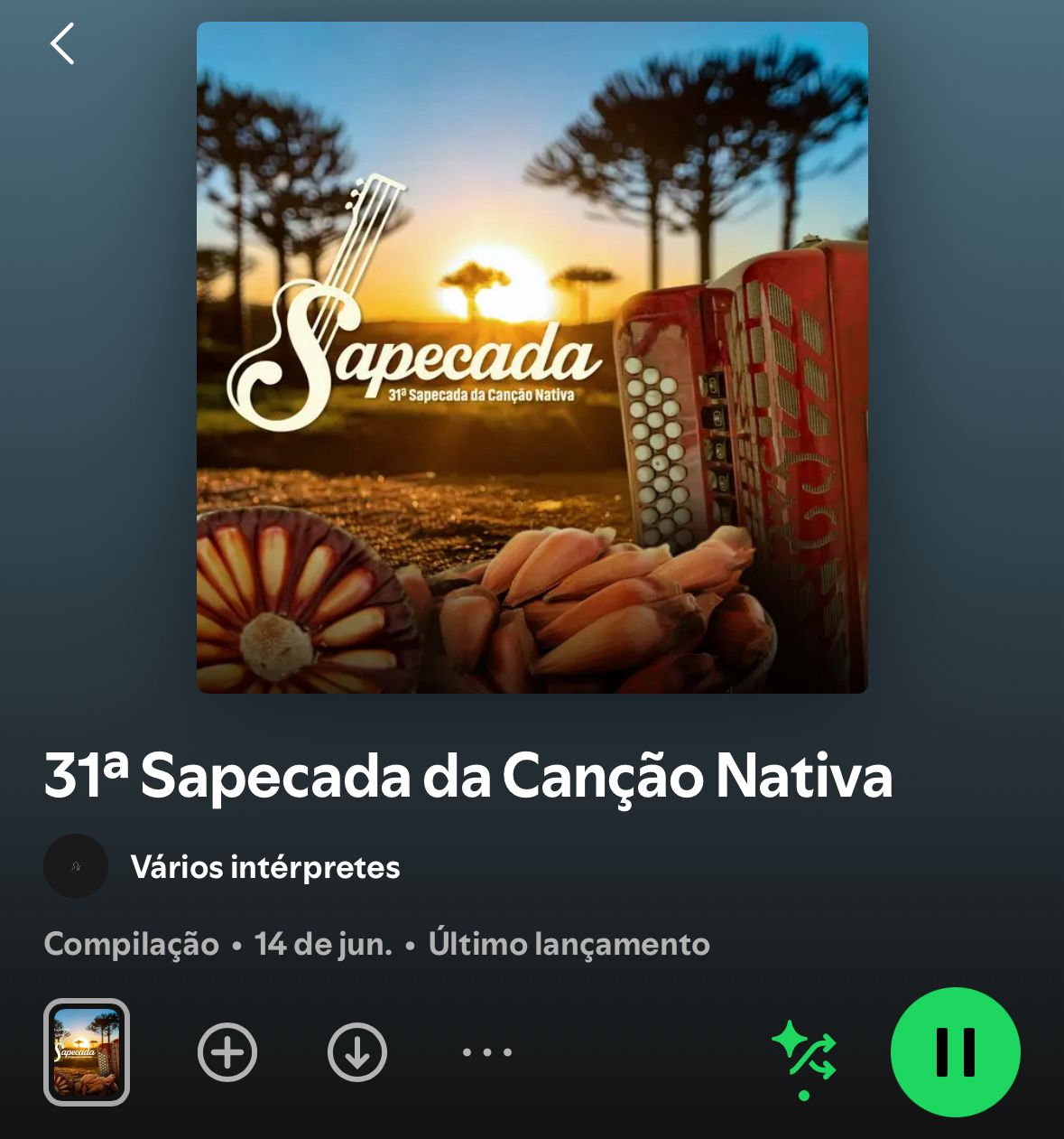 Prefeitura de Lages Trilha sonora da Sapecada 2025 já tem data para chegar ao streaming