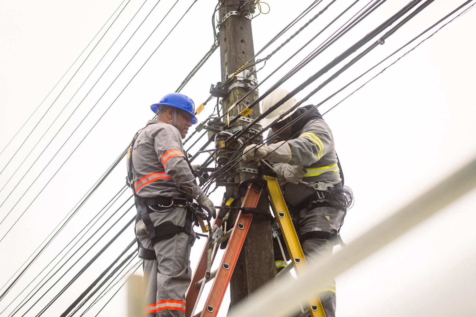 Prefeitura de Lages Prefeitura de Lages presta suporte à força-tarefa da Celesc para remoção de cabos inutilizados 